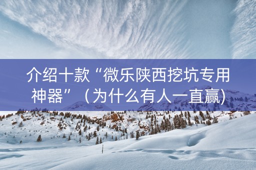 介绍十款“微乐陕西挖坑专用神器”（为什么有人一直赢)