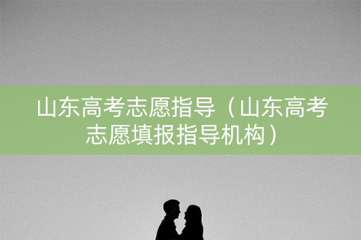山东高考志愿指导（山东高考志愿填报指导机构）