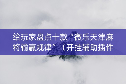 给玩家盘点十款“微乐天津麻将输赢规律”（开挂辅助插件)