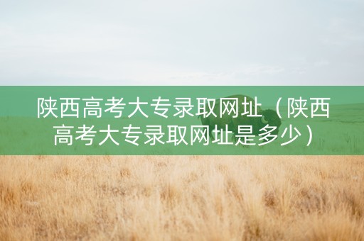 陕西高考大专录取网址（陕西高考大专录取网址是多少）