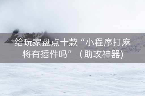 给玩家盘点十款“小程序打麻将有插件吗”（助攻神器)