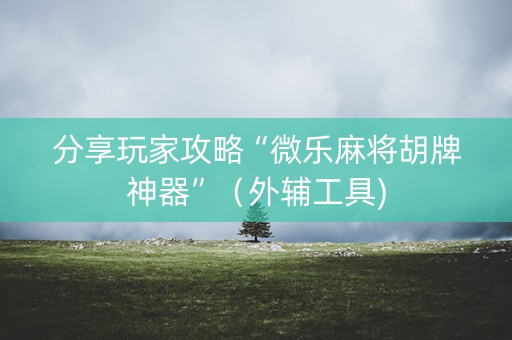 分享玩家攻略“微乐麻将胡牌神器”（外辅工具)
