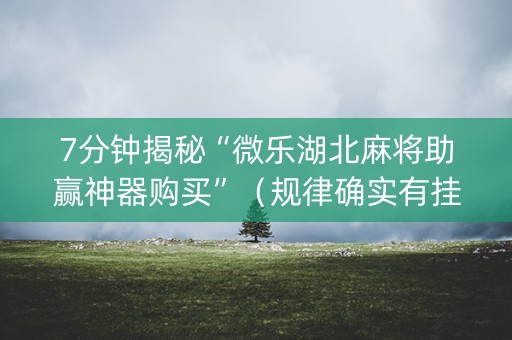 7分钟揭秘“微乐湖北麻将助赢神器购买”（规律确实有挂)