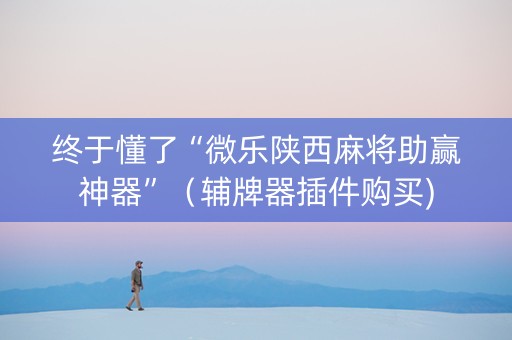 终于懂了“微乐陕西麻将助赢神器”（辅牌器插件购买)