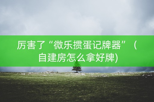 厉害了“微乐掼蛋记牌器”（自建房怎么拿好牌)