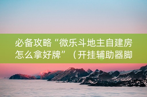 必备攻略“微乐斗地主自建房怎么拿好牌”（开挂辅助器脚本)