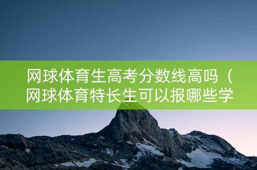 网球体育生高考分数线高吗（网球体育特长生可以报哪些学校）