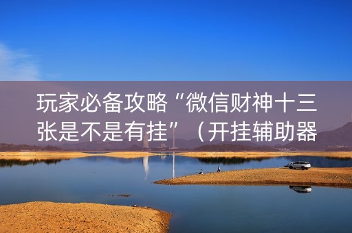玩家必备攻略“微信财神十三张是不是有挂”（开挂辅助器脚本)