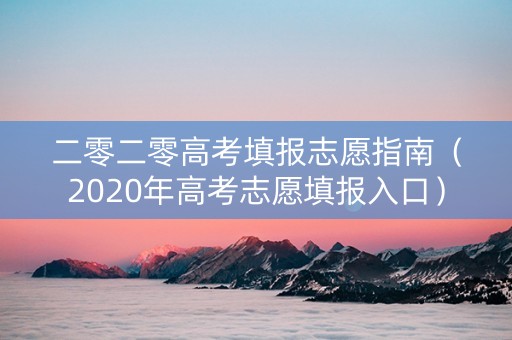 二零二零高考填报志愿指南（2020年高考志愿填报入口）
