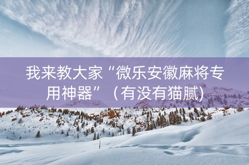 我来教大家“微乐安徽麻将专用神器”（有没有猫腻)