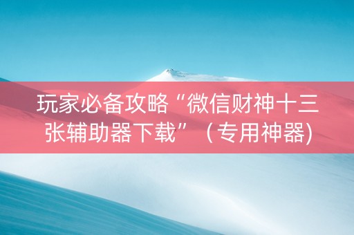 玩家必备攻略“微信财神十三张辅助器下载”（专用神器)