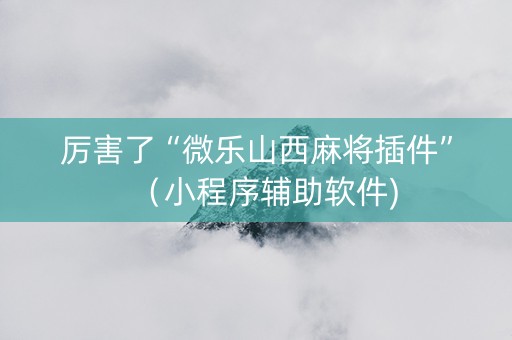 厉害了“微乐山西麻将插件”（小程序辅助软件)