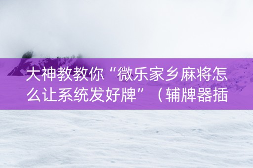 大神教教你“微乐家乡麻将怎么让系统发好牌”（辅牌器插件购买)