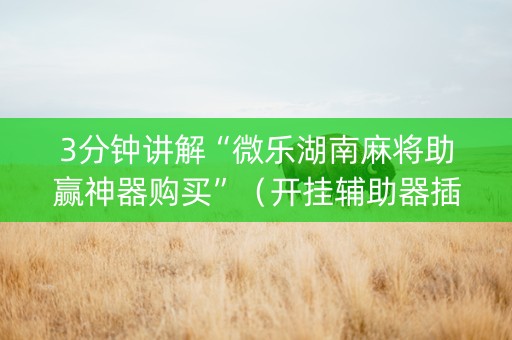 3分钟讲解“微乐湖南麻将助赢神器购买”（开挂辅助器插件)