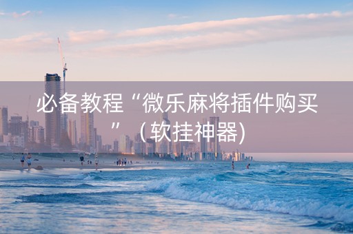 必备教程“微乐麻将插件购买”（软挂神器)