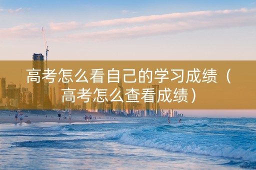 高考怎么看自己的学习成绩（高考怎么查看成绩）