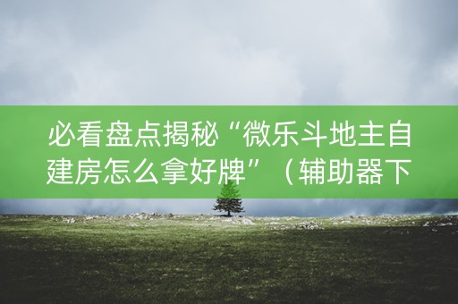 必看盘点揭秘“微乐斗地主自建房怎么拿好牌”（辅助器下载)