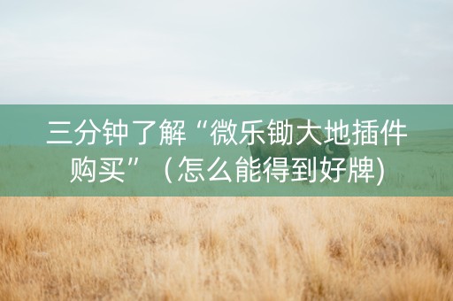 三分钟了解“微乐锄大地插件购买”（怎么能得到好牌)