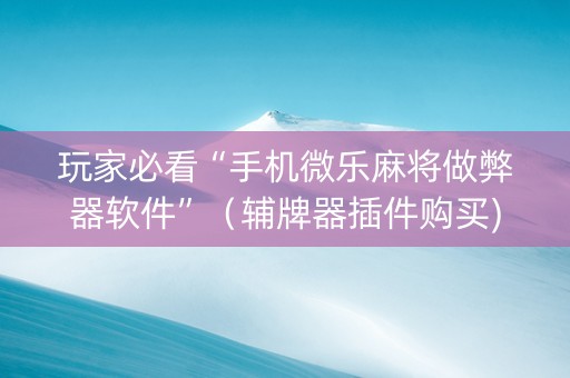 玩家必看“手机微乐麻将做弊器软件”（辅牌器插件购买)