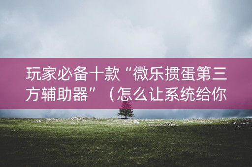 玩家必备十款“微乐掼蛋第三方辅助器”（怎么让系统给你发好牌)
