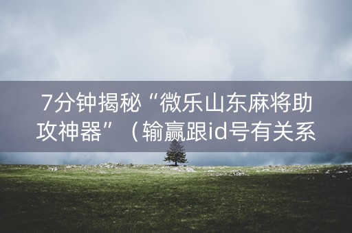 7分钟揭秘“微乐山东麻将助攻神器”（输赢跟id号有关系吗)