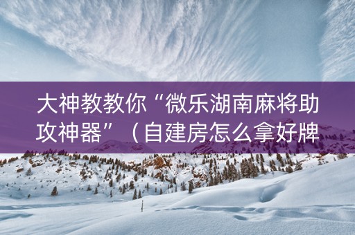 大神教教你“微乐湖南麻将助攻神器”（自建房怎么拿好牌)