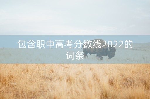 包含职中高考分数线2022的词条