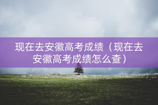 现在去安徽高考成绩（现在去安徽高考成绩怎么查）