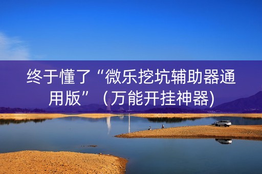 终于懂了“微乐挖坑辅助器通用版”（万能开挂神器)