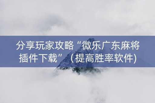 分享玩家攻略“微乐广东麻将插件下载”（提高胜率软件)