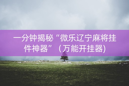 一分钟揭秘“微乐辽宁麻将挂件神器”（万能开挂器)