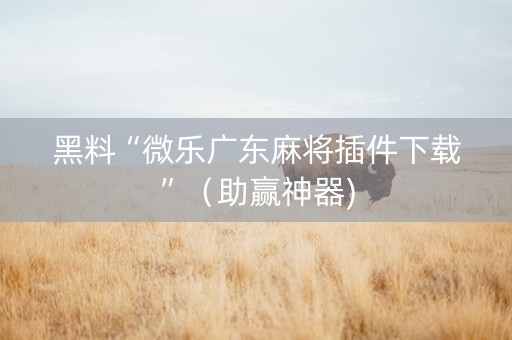 黑料“微乐广东麻将插件下载”（助赢神器)