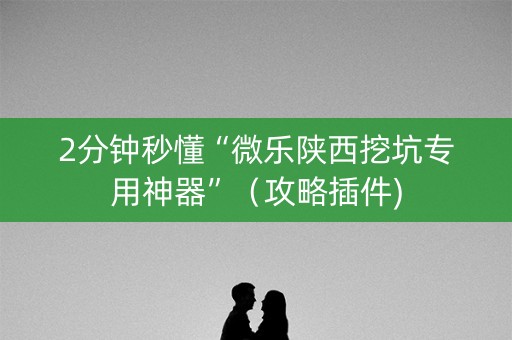 2分钟秒懂“微乐陕西挖坑专用神器”（攻略插件)