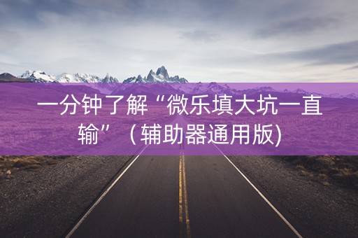 一分钟了解“微乐填大坑一直输”（辅助器通用版)