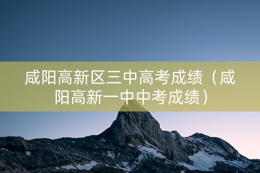 咸阳高新区三中高考成绩（咸阳高新一中中考成绩）