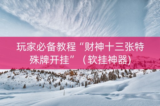 玩家必备教程“财神十三张特殊牌开挂”（软挂神器)