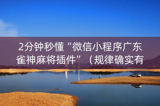2分钟秒懂“微信小程序广东雀神麻将插件”（规律确实有挂)