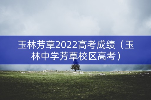 玉林芳草2022高考成绩（玉林中学芳草校区高考）
