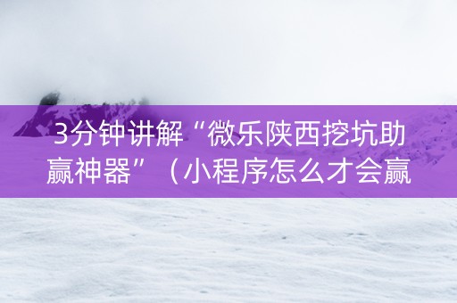 3分钟讲解“微乐陕西挖坑助赢神器”（小程序怎么才会赢)