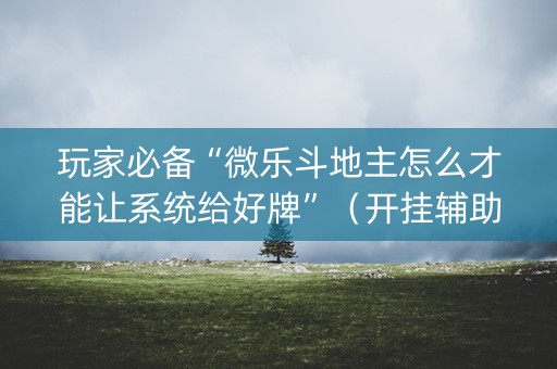 玩家必备“微乐斗地主怎么才能让系统给好牌”（开挂辅助脚本)