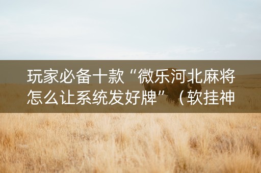 玩家必备十款“微乐河北麻将怎么让系统发好牌”（软挂神器)