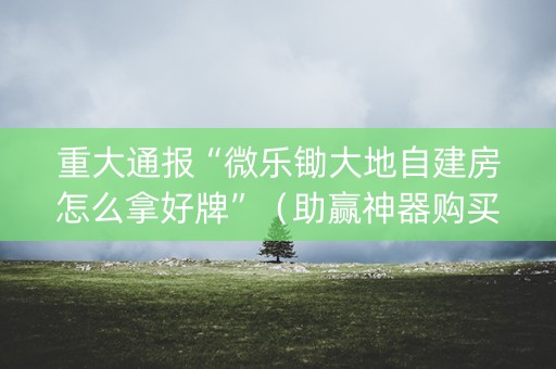 重大通报“微乐锄大地自建房怎么拿好牌”（助赢神器购买)