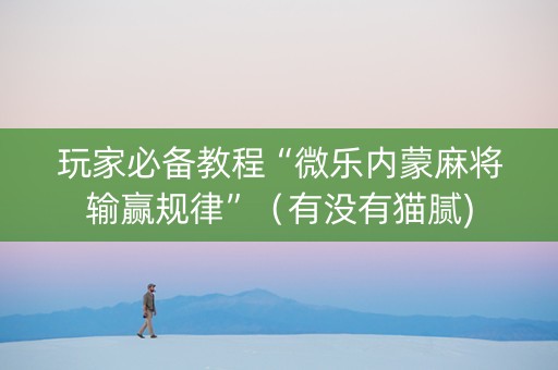 玩家必备教程“微乐内蒙麻将输赢规律”（有没有猫腻)