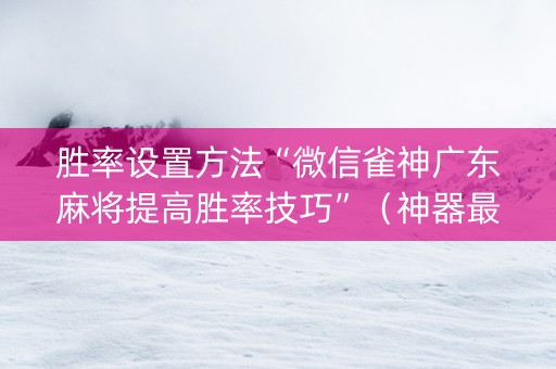 胜率设置方法“微信雀神广东麻将提高胜率技巧”（神器最新免费)