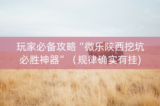 玩家必备攻略“微乐陕西挖坑必胜神器”（规律确实有挂)