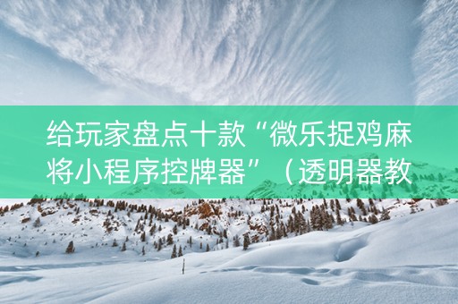 给玩家盘点十款“微乐捉鸡麻将小程序控牌器”（透明器教程)