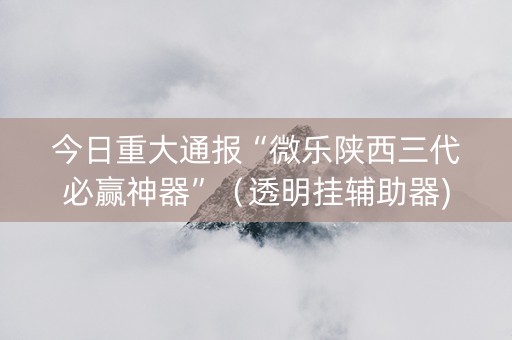 今日重大通报“微乐陕西三代必赢神器”（透明挂辅助器)