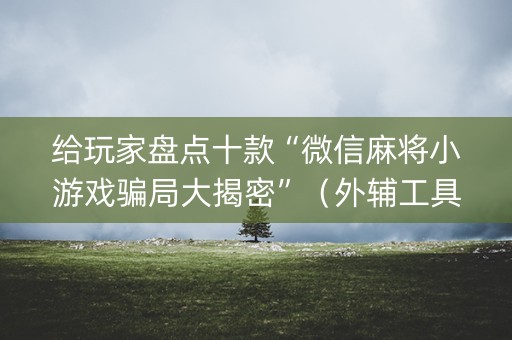 给玩家盘点十款“微信麻将小游戏骗局大揭密”（外辅工具)