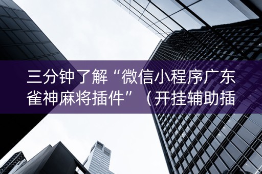 三分钟了解“微信小程序广东雀神麻将插件”（开挂辅助插件)