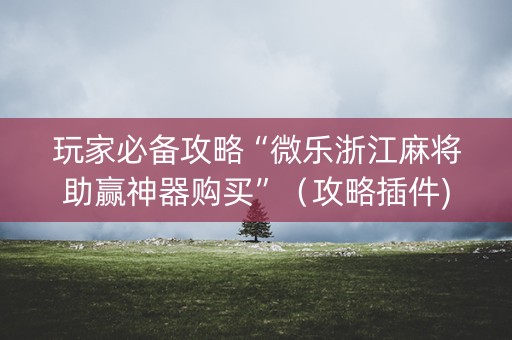 玩家必备攻略“微乐浙江麻将助赢神器购买”（攻略插件)